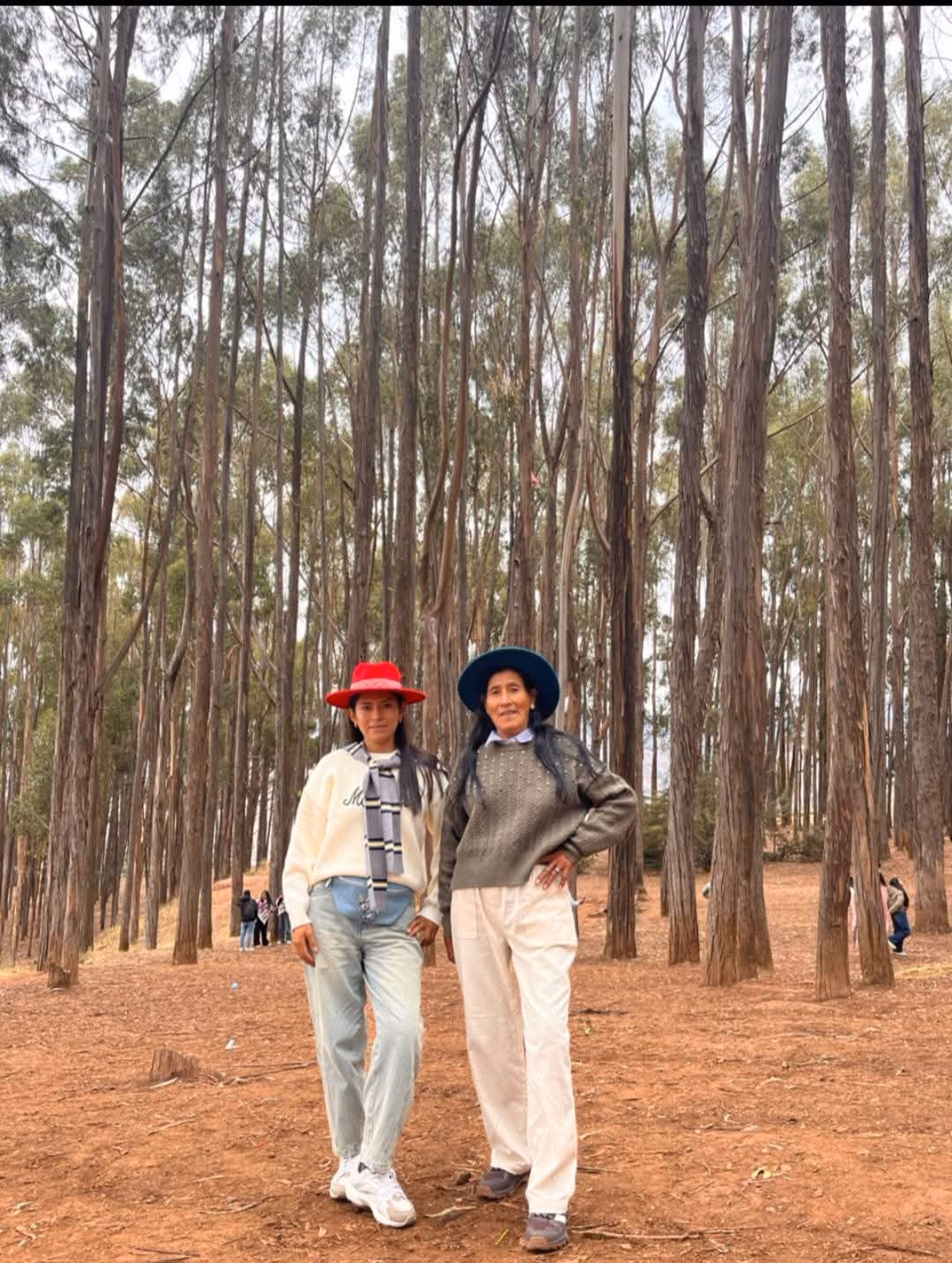 Memories Destinos Travel